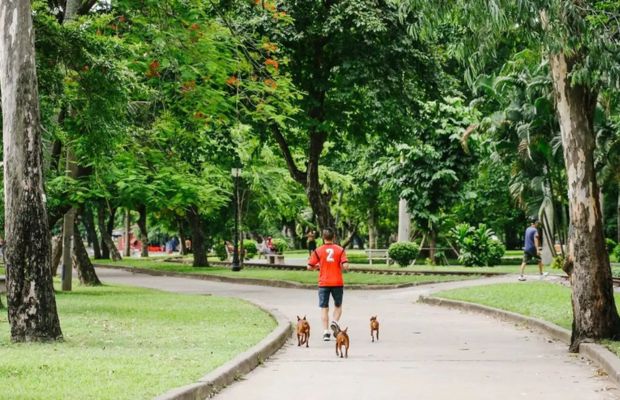 Walking in Thong Nhat Park